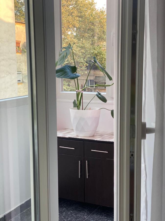 Central Welcoming Apartment In Tiranë Luaran gambar
