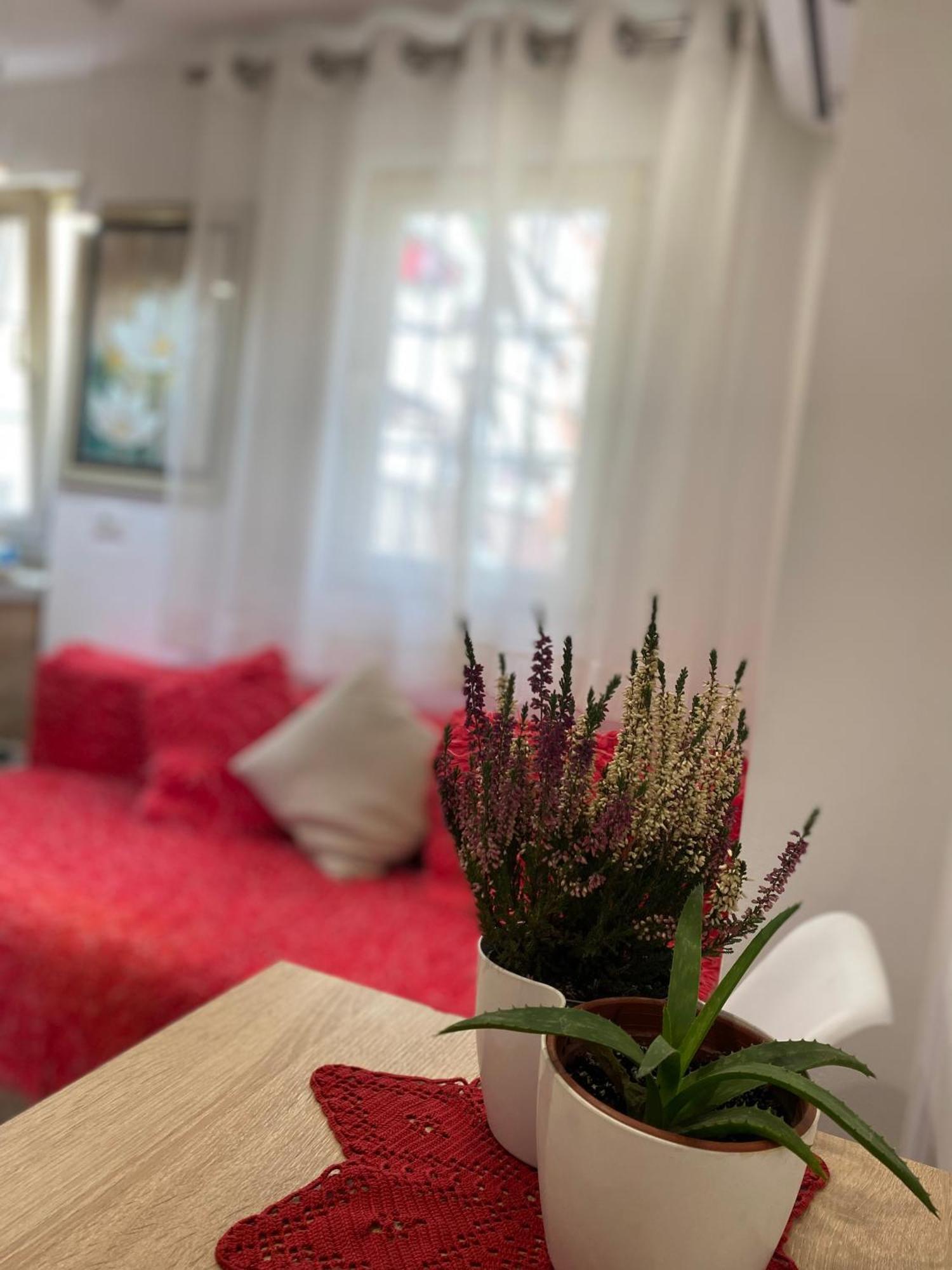 Central Welcoming Apartment In Tiranë Luaran gambar